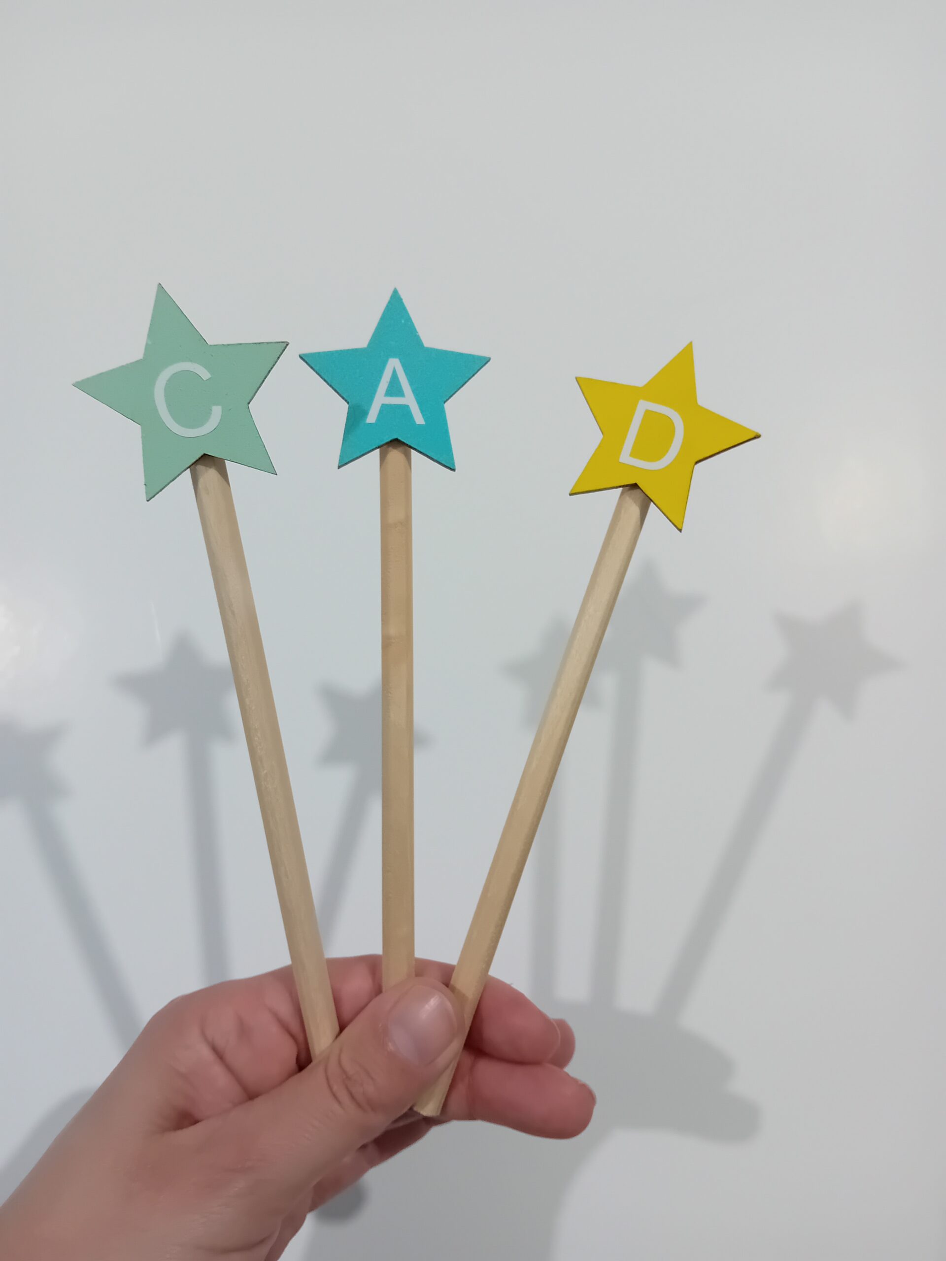 LÁPIZ PERSONALIZADO - Imagen 2